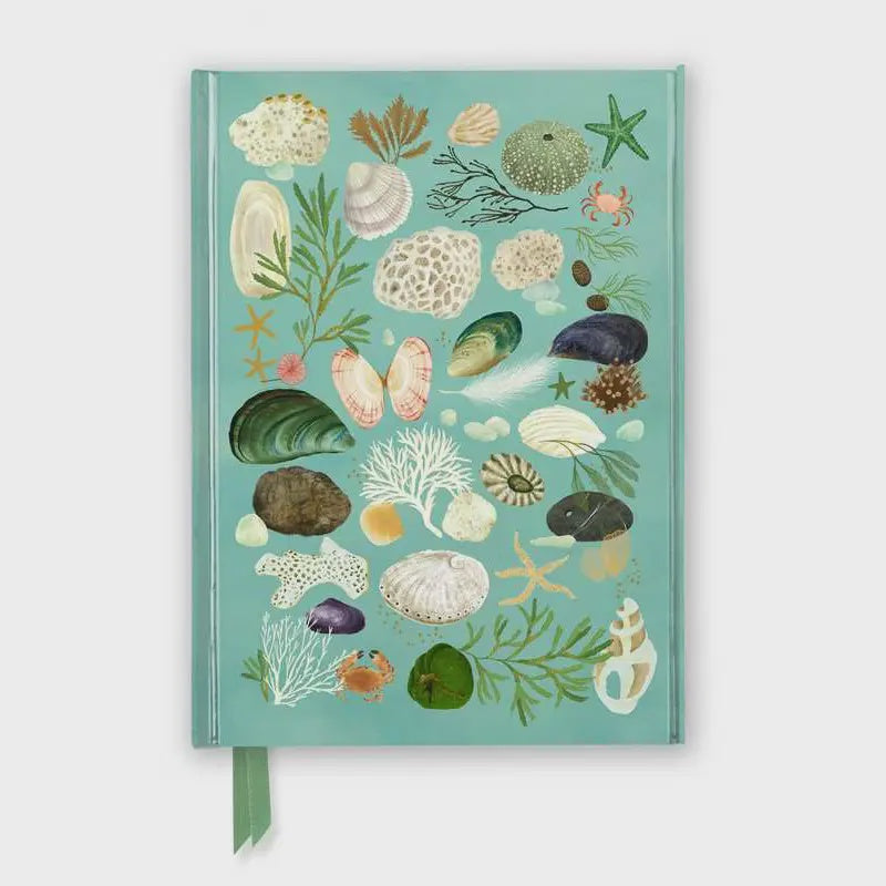 Katherine Quinn Beachcombing