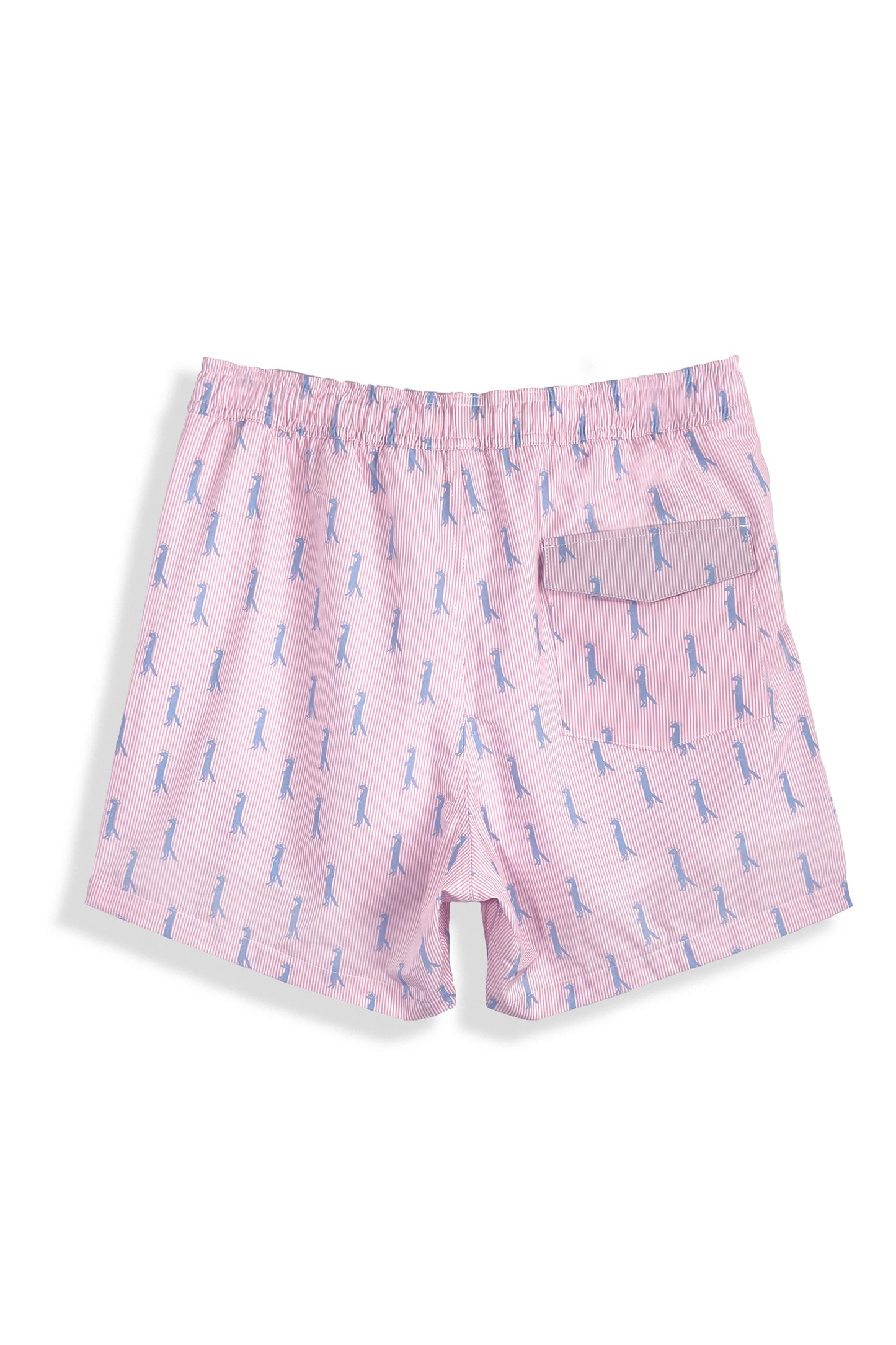 16" Drawstring Volley Swim Trunk | Mongoose Seersucker