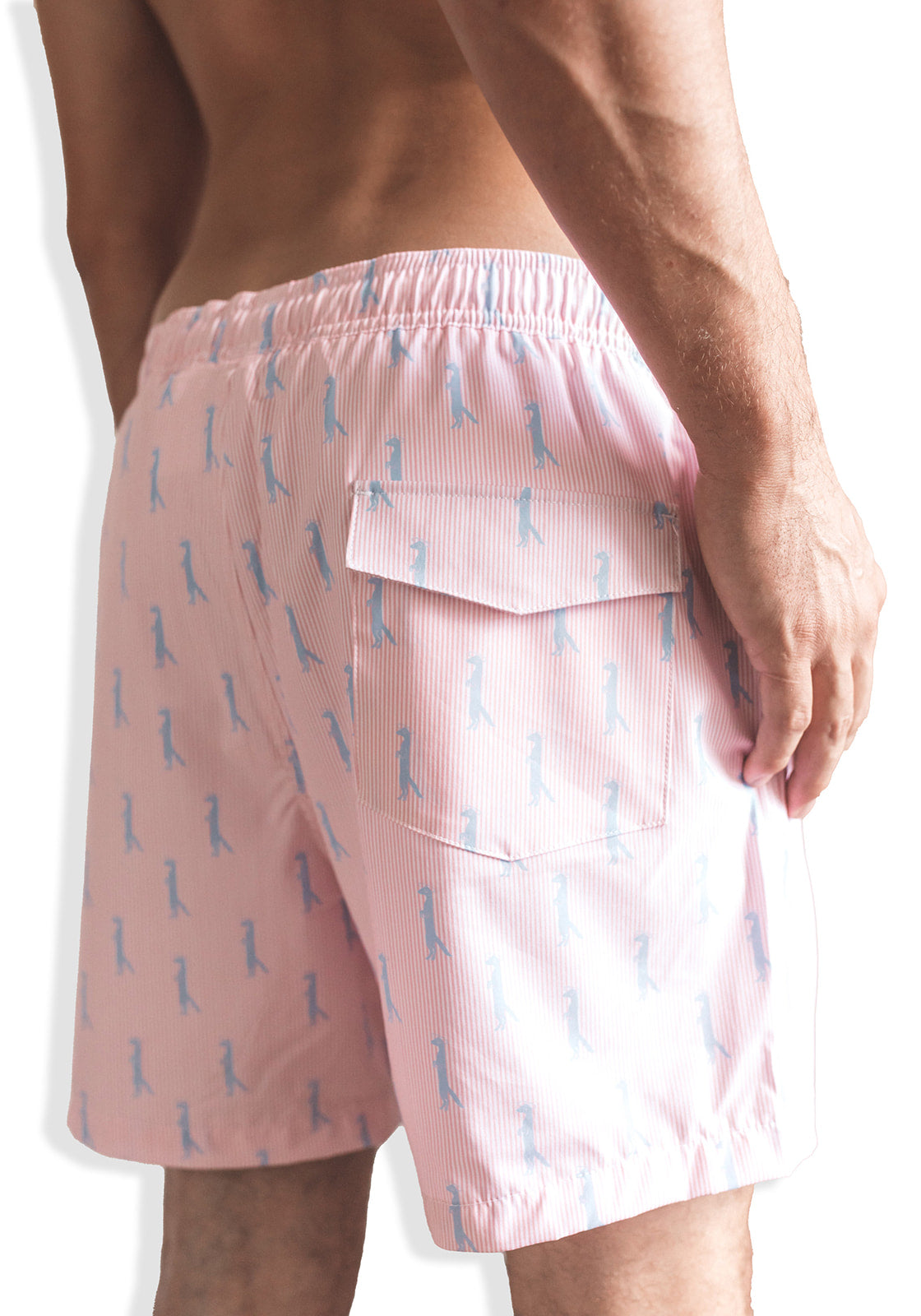 16" Drawstring Volley Swim Trunk | Mongoose Seersucker