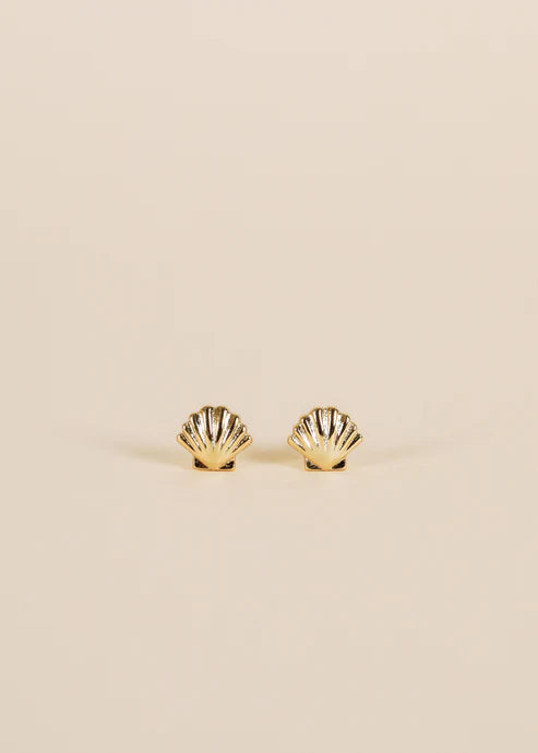Seashell Gold Studs