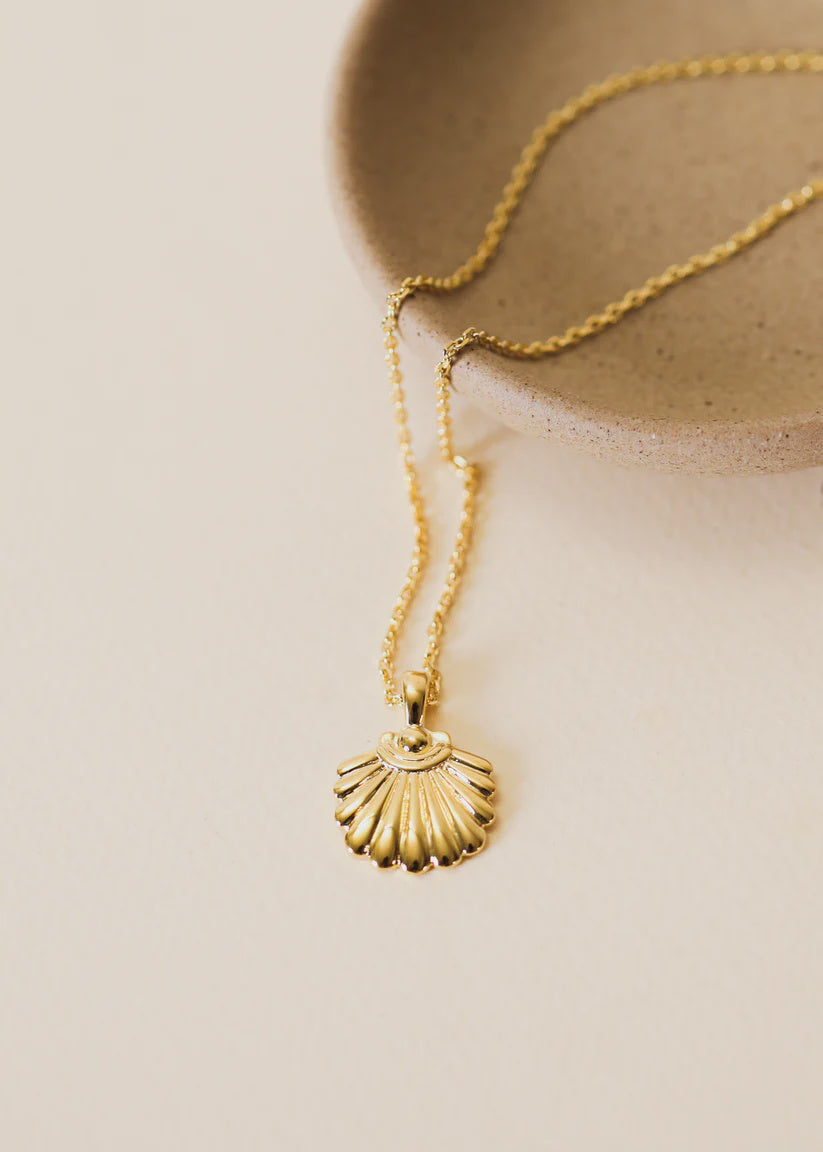 Seashell Pendant Necklace