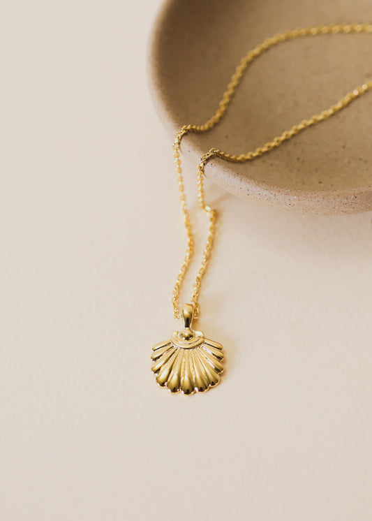 Seashell Pendant Necklace