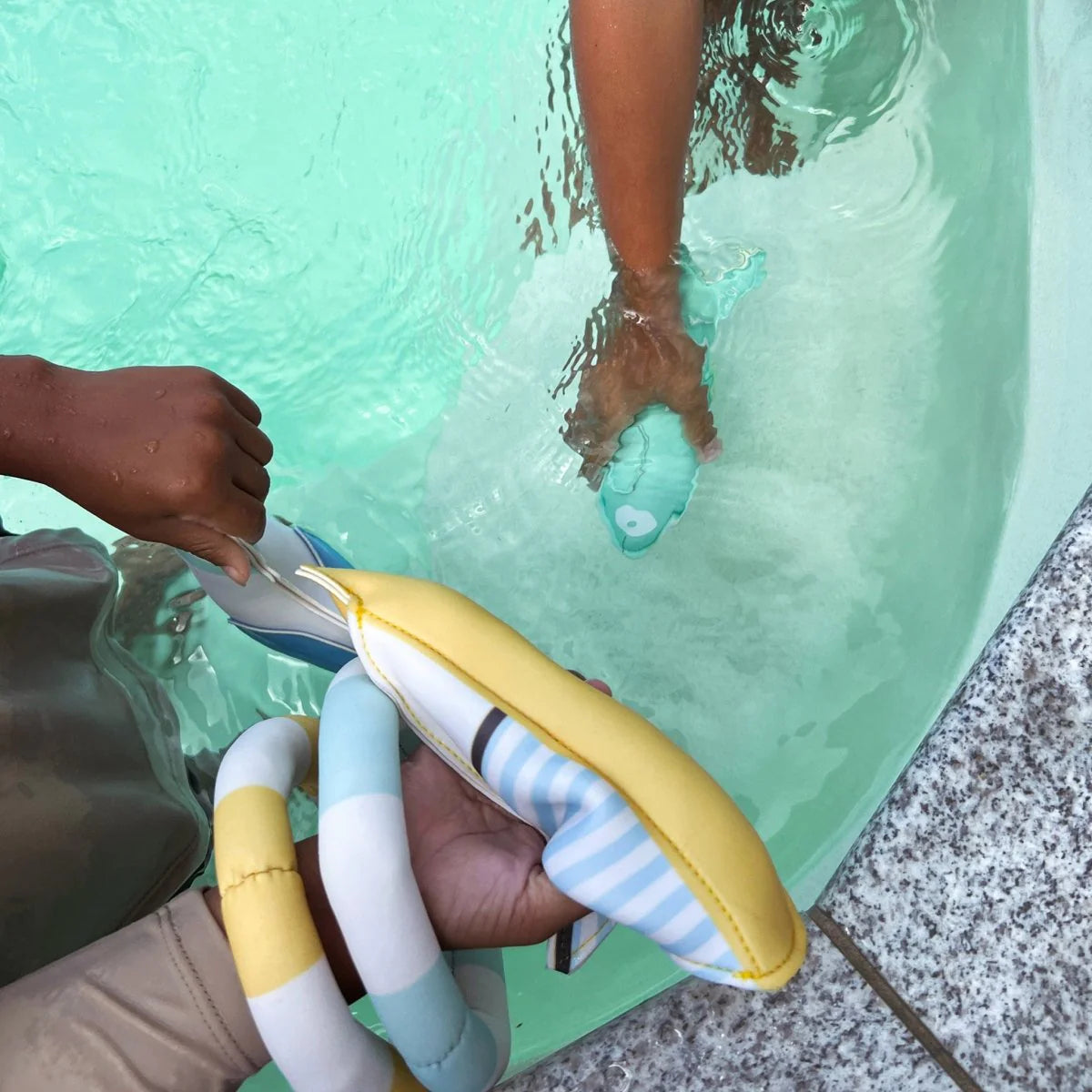 Dive Buddies Set of 6 | Sid the Seagull